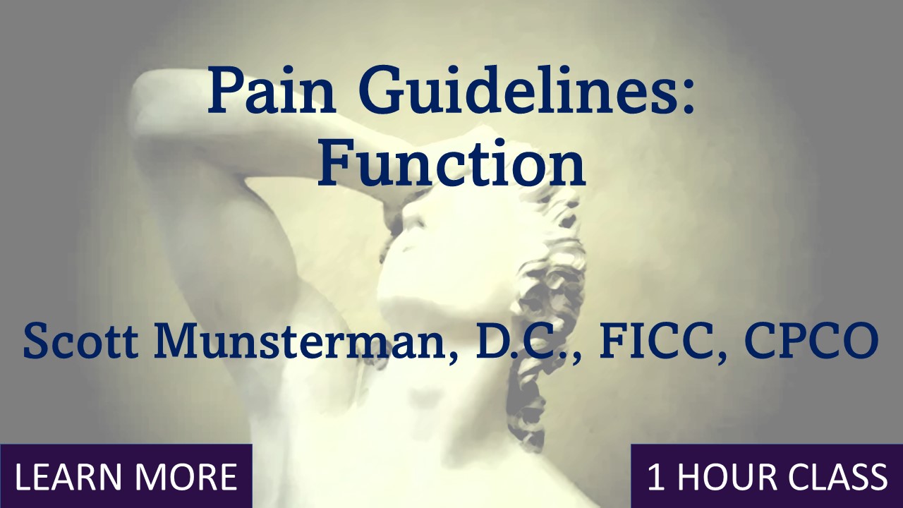 Pain Guidelines-Function